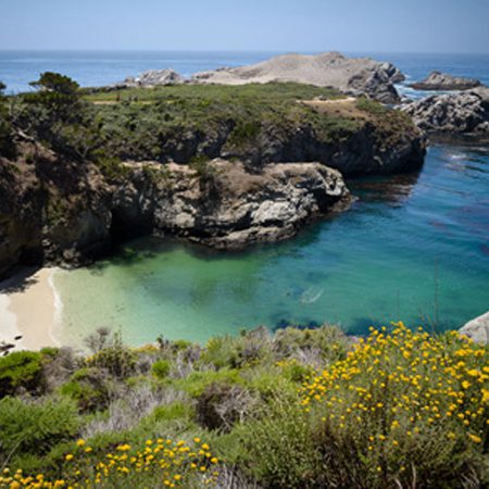 Point Lobos